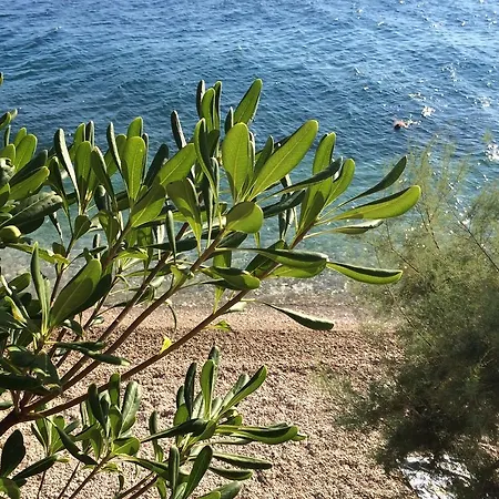 Mala Duba Živogošće