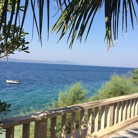 Holiday Mala Duba